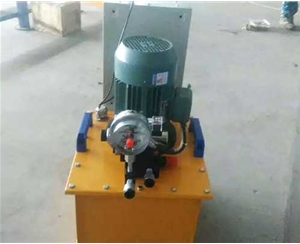 浙江标准电动泵供应生产
